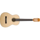 Fender ESC105