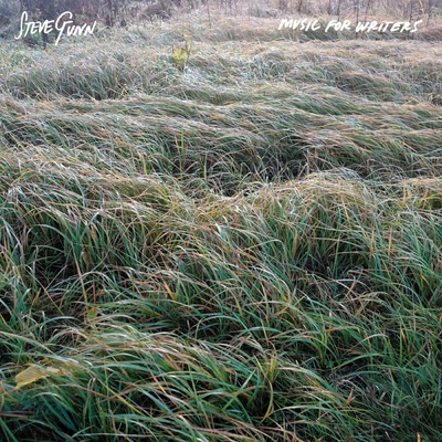 GUNN, STEVE - MUSIC FOR WRITERS (1LP)