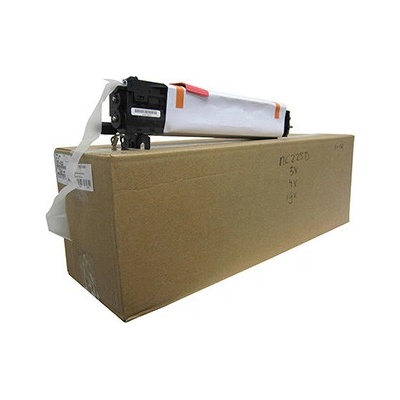 Ricoh D1170126 - originálny