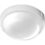 Anco Vega 321190