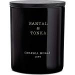 Cereria Mollá Ароматна свещ Cereria Molla - Santal & Tonka, 230 g (5548)