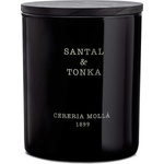 Cereria Mollá Ароматна свещ Cereria Molla - Santal & Tonka, 230 g (5548)