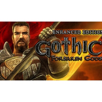 Gothic 3: Forsaken Gods (Enhanced Edition)