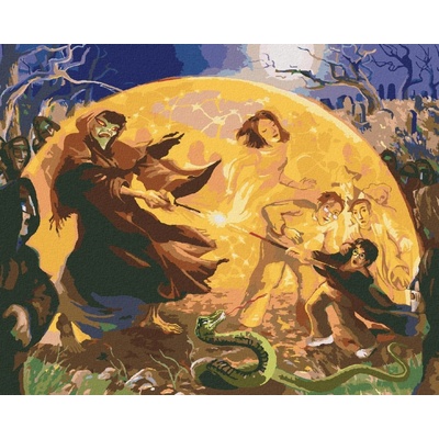 Zuty Harry potter a lord voldemort souboj kouzelníků 40 x 50 cm vypnuté plátno na rám 8596530132776