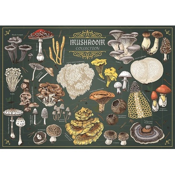 Trefl - Puzzle Premium Plus Finders Keepers: Mushroom - 500 piese