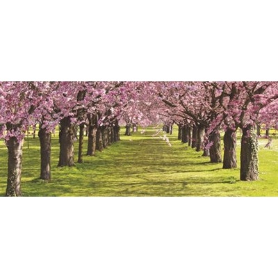 IMPOL TRADE 010VEP Fototapeta vliesová spring rozmer 250 cm x 104 cm