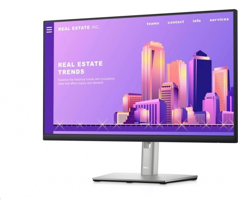 Dell P2422H
