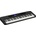 Casio CT S400