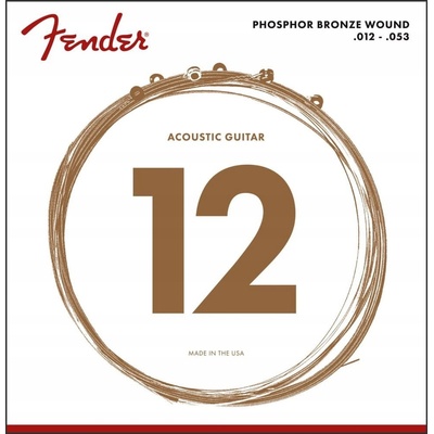 Fender 60L