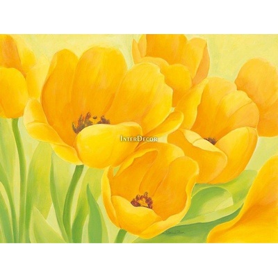 Žluté tulipány 1 deska 50x40