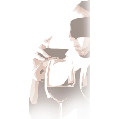 Vin bouquet (Испания) Сет за тест на сляпо Vin Bouquet (VB FIA 036)