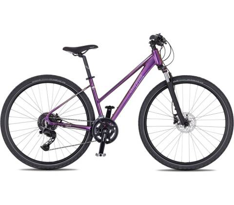 4EVER Pulse Disc 2026