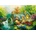 Bluebird Puzzle - Puzzle Boehme: Country Retreat - 1 000 piese