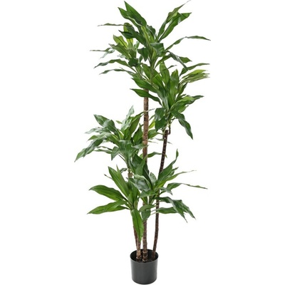 Umelá palma Dracena FRAGRANS deluxe, 150cm