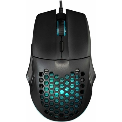 Baracuda PENGUIN Black BGM-101