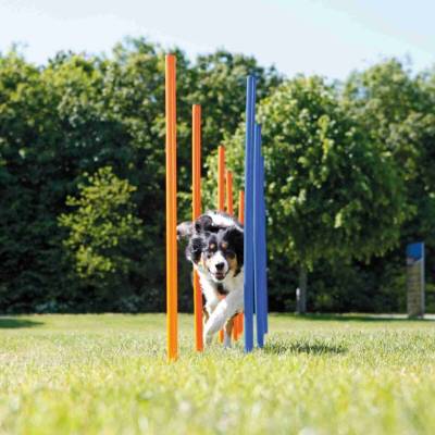 Trixie gility slalom,tyče 12 ks 3,3/115 cm
