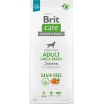 Brit Grain-free Adult Large Breed Salmon & Potato - със сьомга, за едри породи над 24 месеца 3 кг