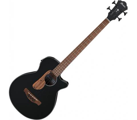 Ibanez AEGB24E