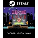 Bernie Needs Love