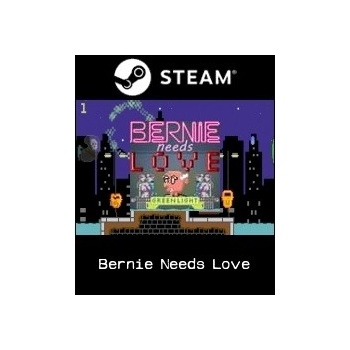 Bernie Needs Love