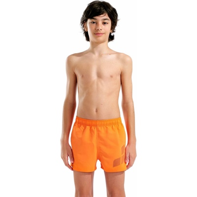 Arena Beach Short Logo Chlapecké šortky