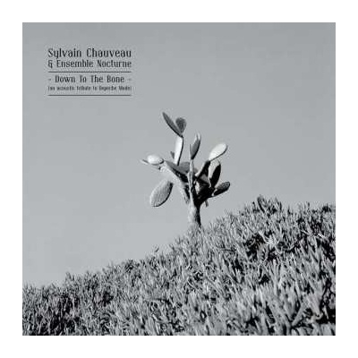 Chauveau Sylvain - Down To The Bone LP