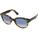 Ray-Ban RB2199 1332