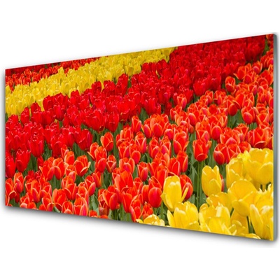 Obraz na skle Tulipány Květiny 100x50 cm