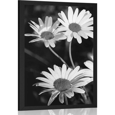 Plakát sedmikrásky na zahradě v černobílém provedení - 20x30 black