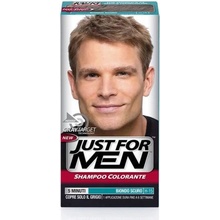 Just for men šampón na zakrytie sivých vlasov H-15 Dark Blond