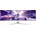 Philips Evnia 49M2C8900L/00