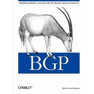 BGP | Iljitsch Van Beijnum (2009)