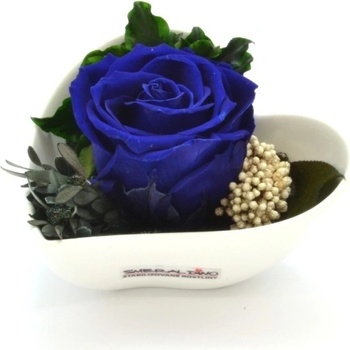 Lena Dark blue - tmavo modrá (Stabilizovaná "večná" ruža v kvetináčiku v tvare srdca)