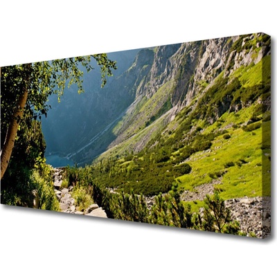 Obraz Canvas Hora les príroda 100x50 cm