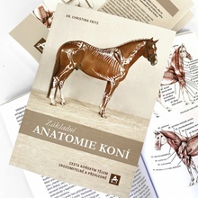 Kniha -ZÁKLADNÍ ANATOMIE KONÍ-
