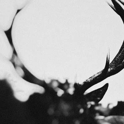 Ihsahn - Ihsahn (Orchestral) 2 LP