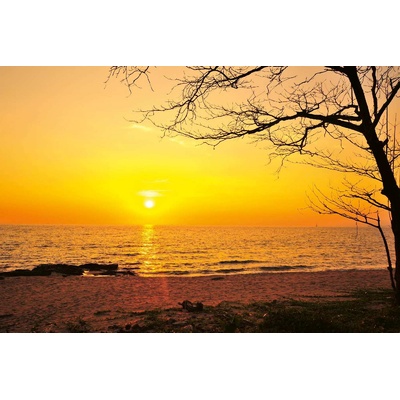 DIMEX ART Флизелинов фототапет залез 375 x 250 см