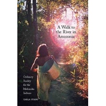 A Walk to the River in Amazonia: Ordinary Reality for the Mehinaku Indians Stang CarlaPaperback