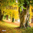 Deep Forest 2027