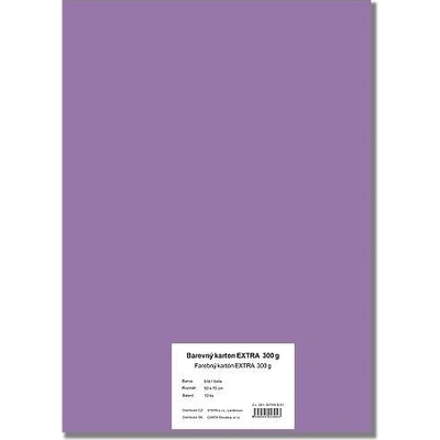 STEPA Barevný karton EXTRA 300g 50x70cm - fialový 10listů