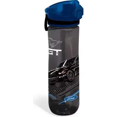 Lizzy Card FORD Black бутилка 600 мл