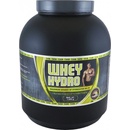 Titanus Whey Hydro DH32 1600 g