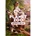 Frontier Developments Planet Zoo Africa Pack (PC)