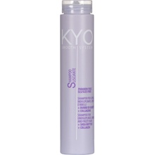 FreeLimix kyo Shampoo SmoothSystem 250 ml