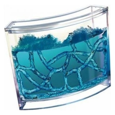 Mravenčí akvárium Ant Quarium Domácí mraveniště Blue