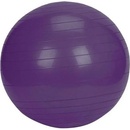 LivePro studio fit exercise 55 cm