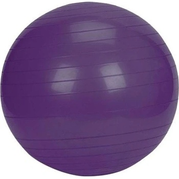 LivePro studio fit exercise 55 cm