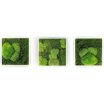 Gardners Set 3 mechových obrazů 35x35 kombinovaný mech kopečkový s plochým, bílá