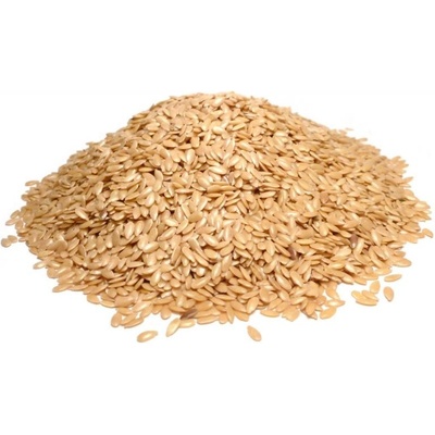 Bylík Len zlatý semeno 100 g