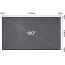 Epson 100